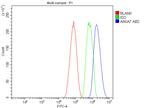 Annexin VII Antibody in Flow Cytometry (Flow)