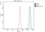 RIAM Antibody in Flow Cytometry (Flow)