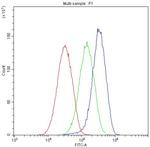 ApoA1 Antibody in Flow Cytometry (Flow)