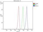 ApoC3 Antibody in Flow Cytometry (Flow)