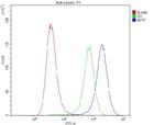 APRT Antibody in Flow Cytometry (Flow)