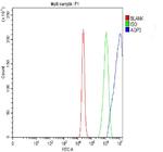 Aquaporin 3 Antibody in Flow Cytometry (Flow)