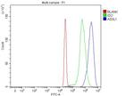ASXL1 Antibody in Flow Cytometry (Flow)