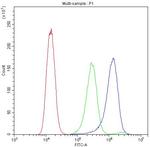 ATG14 Antibody in Flow Cytometry (Flow)