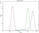 ATG14 Antibody in Flow Cytometry (Flow)