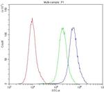 ATG14 Antibody in Flow Cytometry (Flow)
