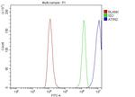 Ataxin 2 Antibody in Flow Cytometry (Flow)