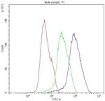 BIK Antibody in Flow Cytometry (Flow)