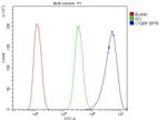C1QBP Antibody in Flow Cytometry (Flow)