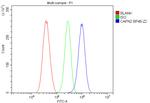 Calpain 2 Antibody in Flow Cytometry (Flow)