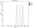 PRMT4 Antibody in Flow Cytometry (Flow)