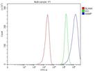 AAMP Antibody in Flow Cytometry (Flow)