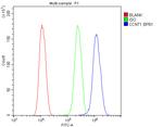 Cyclin T1 Antibody in Flow Cytometry (Flow)