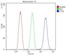 TCP-1 beta Antibody in Flow Cytometry (Flow)