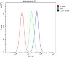 TCP1 eta Antibody in Flow Cytometry (Flow)