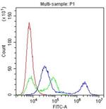 CD22 Antibody in Flow Cytometry (Flow)