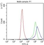 CD27 Antibody in Flow Cytometry (Flow)