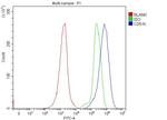 CD5 Antibody in Flow Cytometry (Flow)