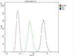 CD5 Antibody in Flow Cytometry (Flow)