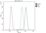 CD55 Antibody in Flow Cytometry (Flow)