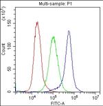 CD59 Antibody in Flow Cytometry (Flow)