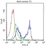 CD7 Antibody in Flow Cytometry (Flow)