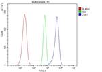 CD81 Antibody in Flow Cytometry (Flow)