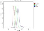 CD8 alpha Antibody in Flow Cytometry (Flow)