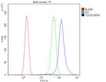 CDC20 Antibody in Flow Cytometry (Flow)