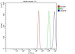 C/EBP beta Antibody in Flow Cytometry (Flow)