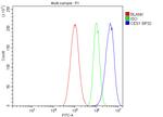 CES1 Antibody in Flow Cytometry (Flow)