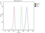 Cofilin 2 Antibody in Flow Cytometry (Flow)