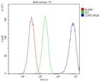 COPE Antibody in Flow Cytometry (Flow)