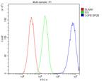 COPE Antibody in Flow Cytometry (Flow)