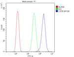 Cystatin B Antibody in Flow Cytometry (Flow)