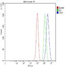 CTCF Antibody in Flow Cytometry (Flow)