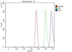 DCK Antibody in Flow Cytometry (Flow)