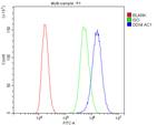 DDX4 Antibody in Flow Cytometry (Flow)