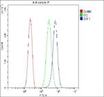 DHFR Antibody in Flow Cytometry (Flow)