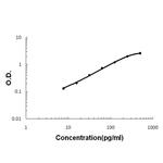 EGF Antibody in ELISA (ELISA)