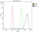 eIF4A2 Antibody in Flow Cytometry (Flow)