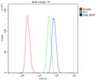 EME1 Antibody in Flow Cytometry (Flow)