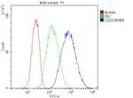 CD23 Antibody in Flow Cytometry (Flow)