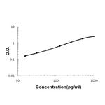 FGF19 Antibody in ELISA (ELISA)