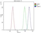 Fumarase Antibody in Flow Cytometry (Flow)