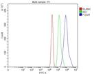 FOXA1 Antibody in Flow Cytometry (Flow)