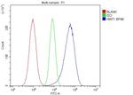 HINT1 Antibody in Flow Cytometry (Flow)