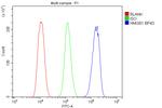 HMGB1 Antibody in Flow Cytometry (Flow)