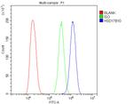 ERAB Antibody in Flow Cytometry (Flow)