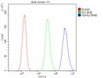 HSPA2 Antibody in Flow Cytometry (Flow)
